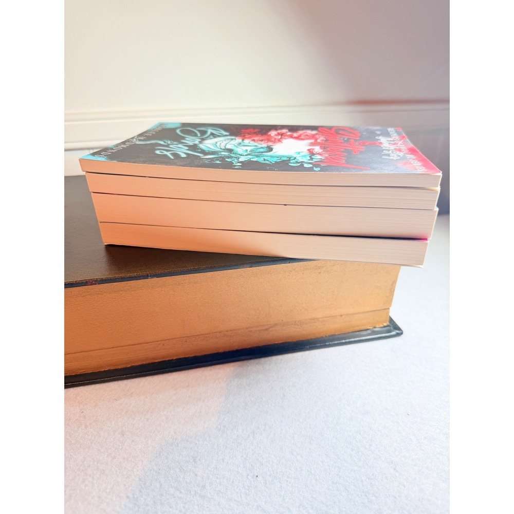 Ashlee M Edmonds Reapers of Havoc MC Series 4 BookSet Twisted SoulsSavage Hearts - Picture 5 of 5